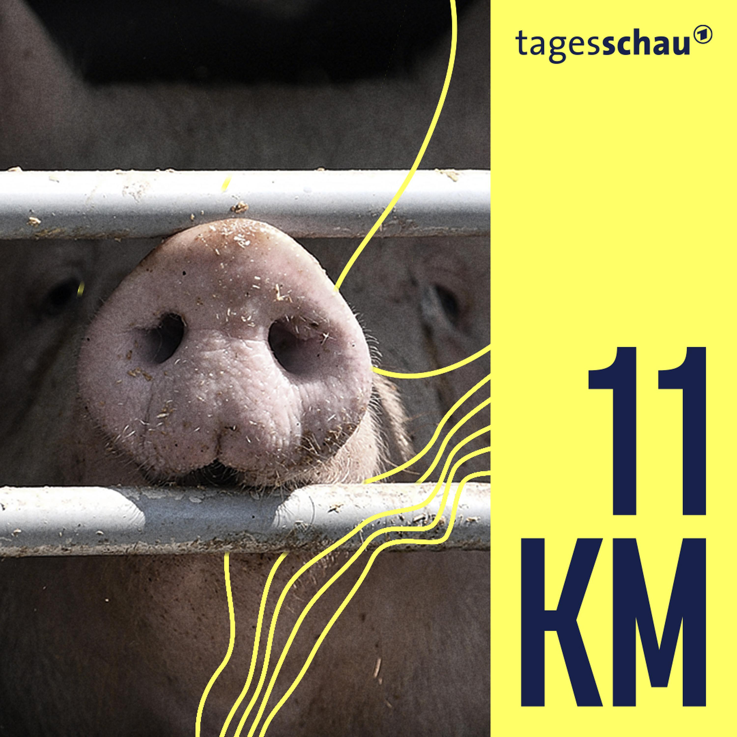 11KM: der tagesschau-Podcast