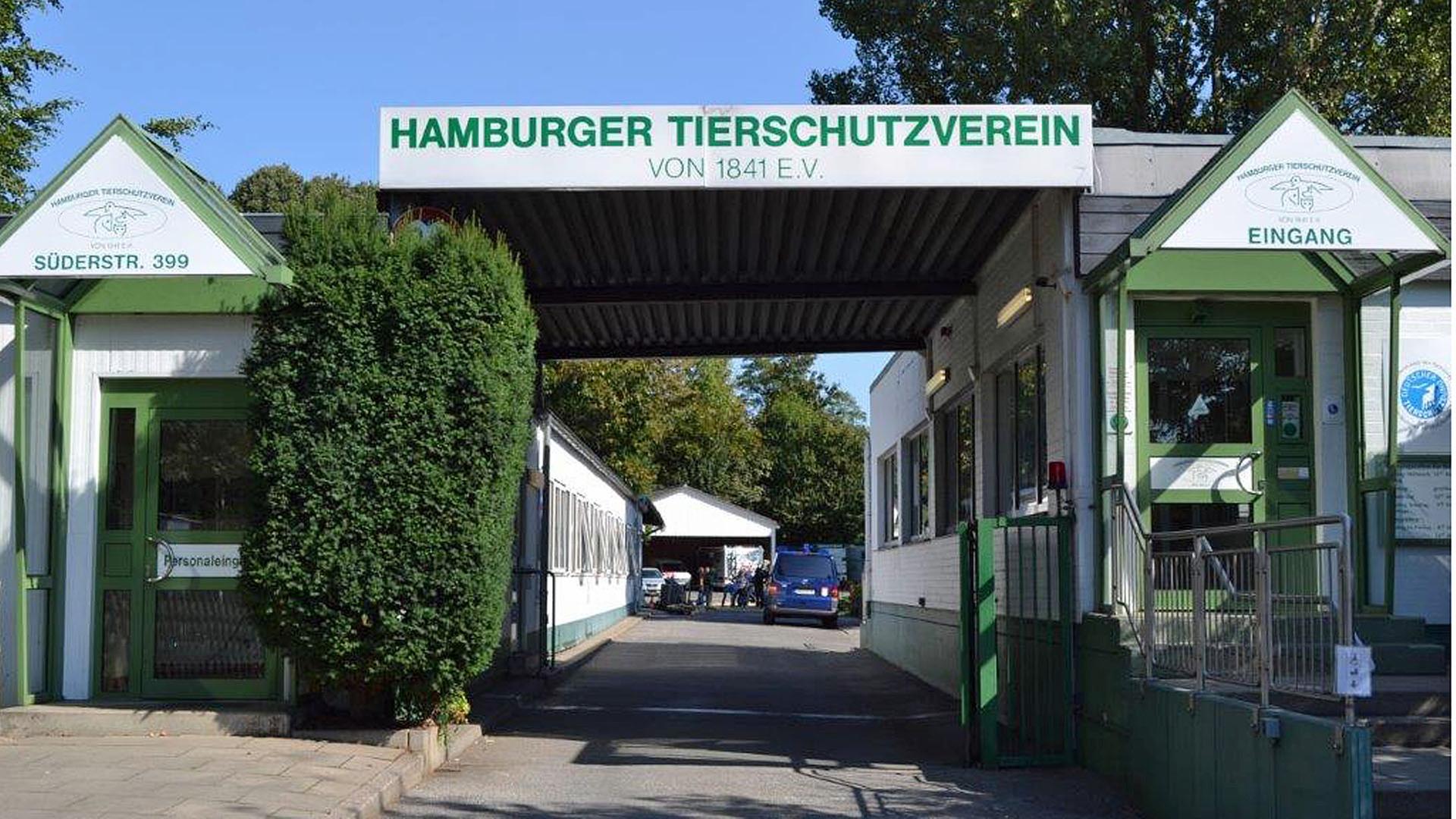 Hamburger Tierheime überlastet durch viele ausgesetzte Tiere