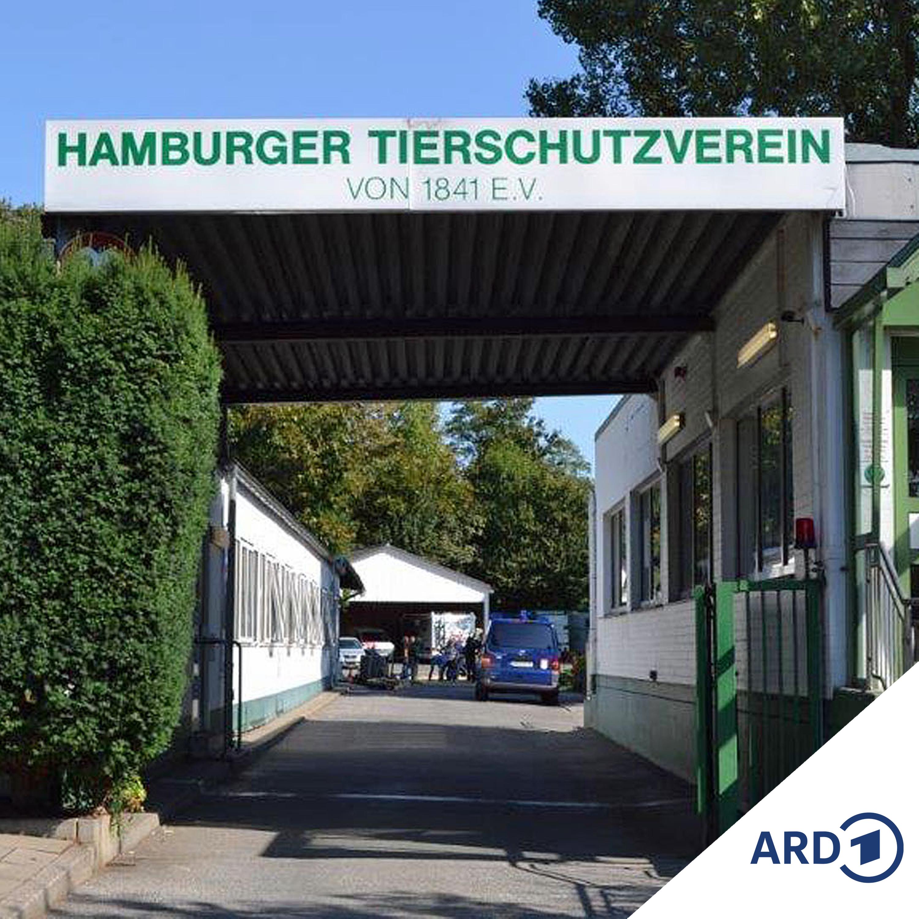 Moin! Die Reportage