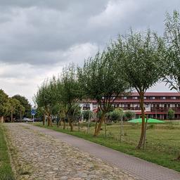 Die von Bäumen gesäumte Zufahrt zum Golchener Hof, wo die SPD eine Versammlung abgehalten hat.