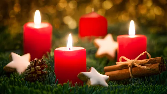 Adventskranz selber machen: Ideen für schöne Weihnachtsdeko