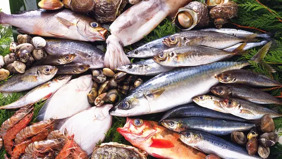 Viele verschiedene Fische und Meeresfrüchte liegen in einer Auslage. | Colourbox Viele verschiedene Fische und Meeresfrüchte liegen in einer Auslage.