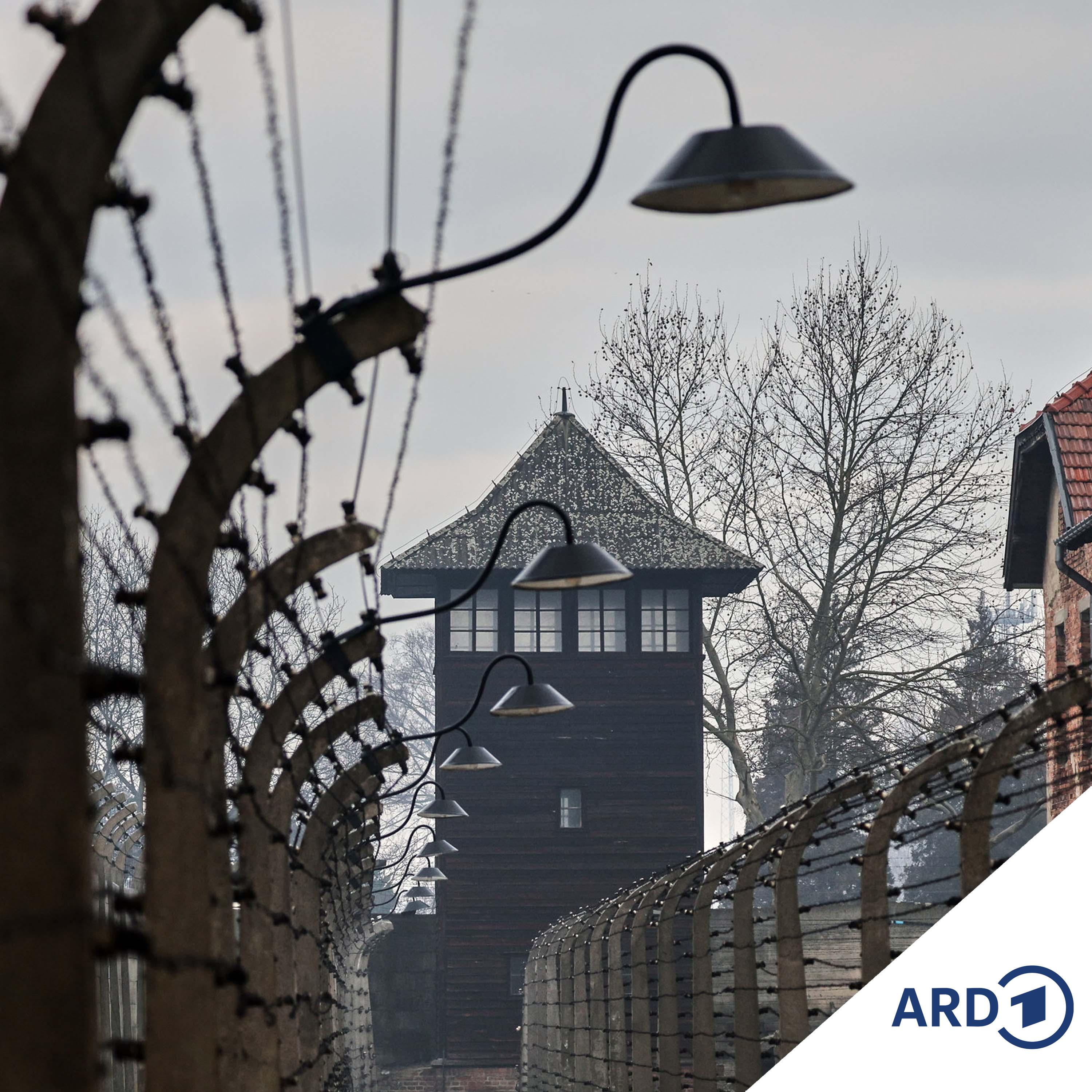 81 Jahre nach Auschwitz-Befreiung: Judenhass gestiegen