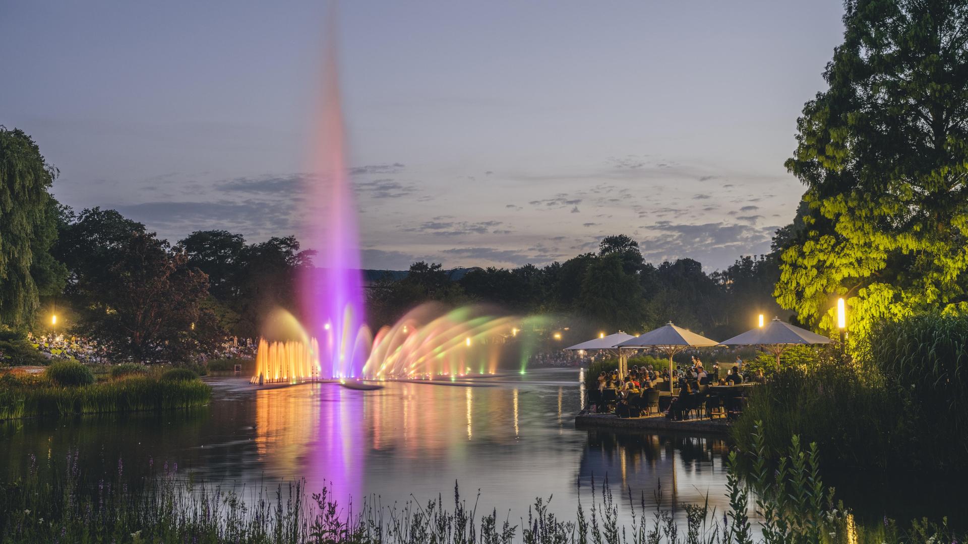 Wasserspiele im Hamburger Park Planten un Blomen. | picture alliance / Westend61 | Kerstin Bittner