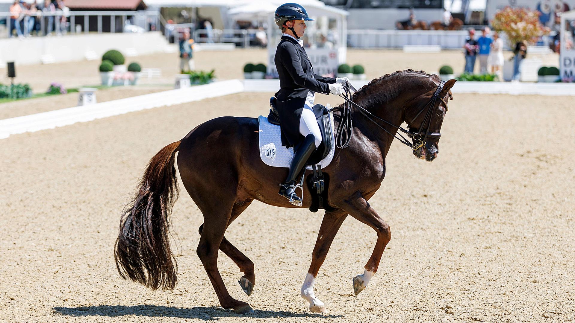 Reiten: Werth gewinnt Dressur-Derby - Schreibt Thieme heute Geschichte?