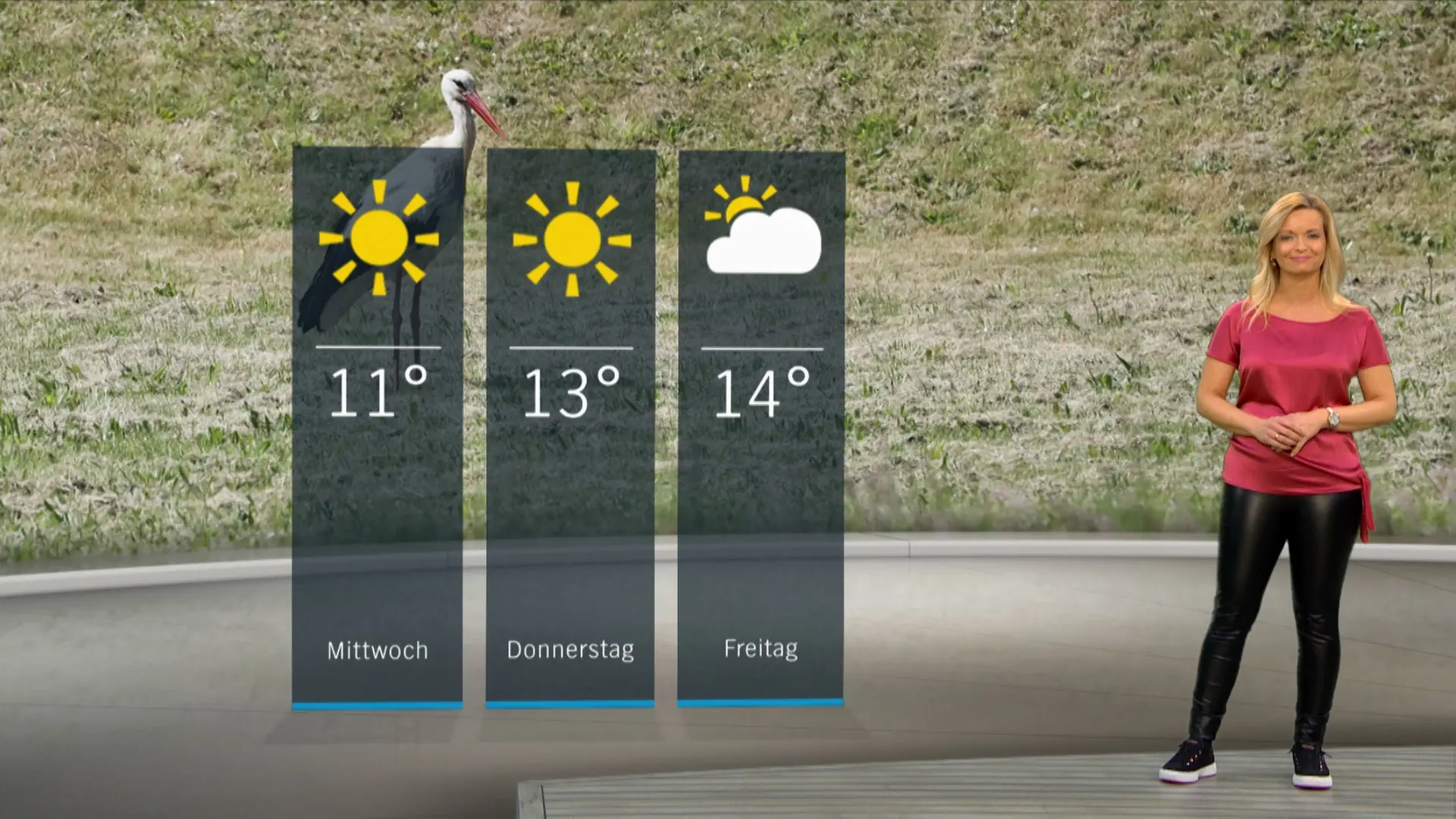 So wird das Wetter in Schleswig-Holstein
