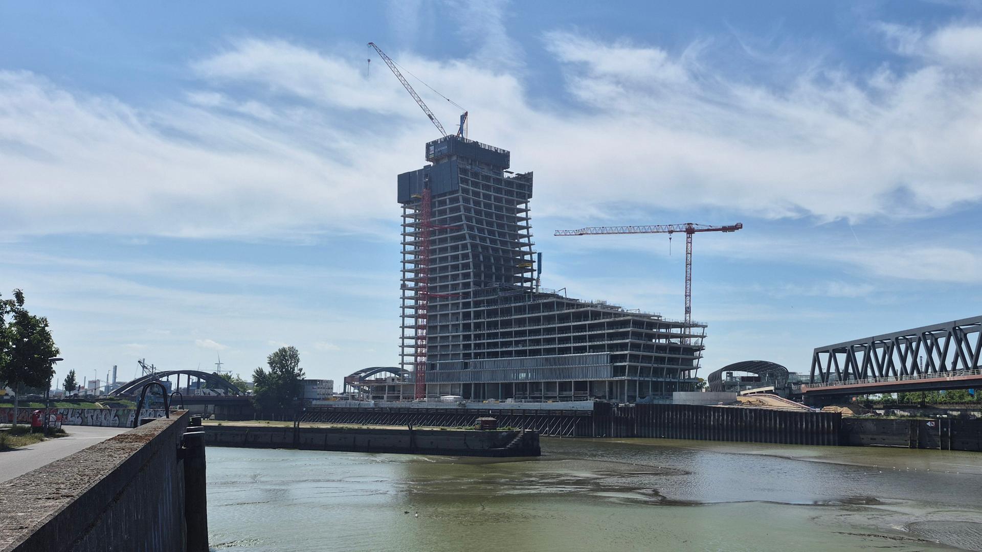 Hamburger Senat will Naturkundemuseum im Elbtower
