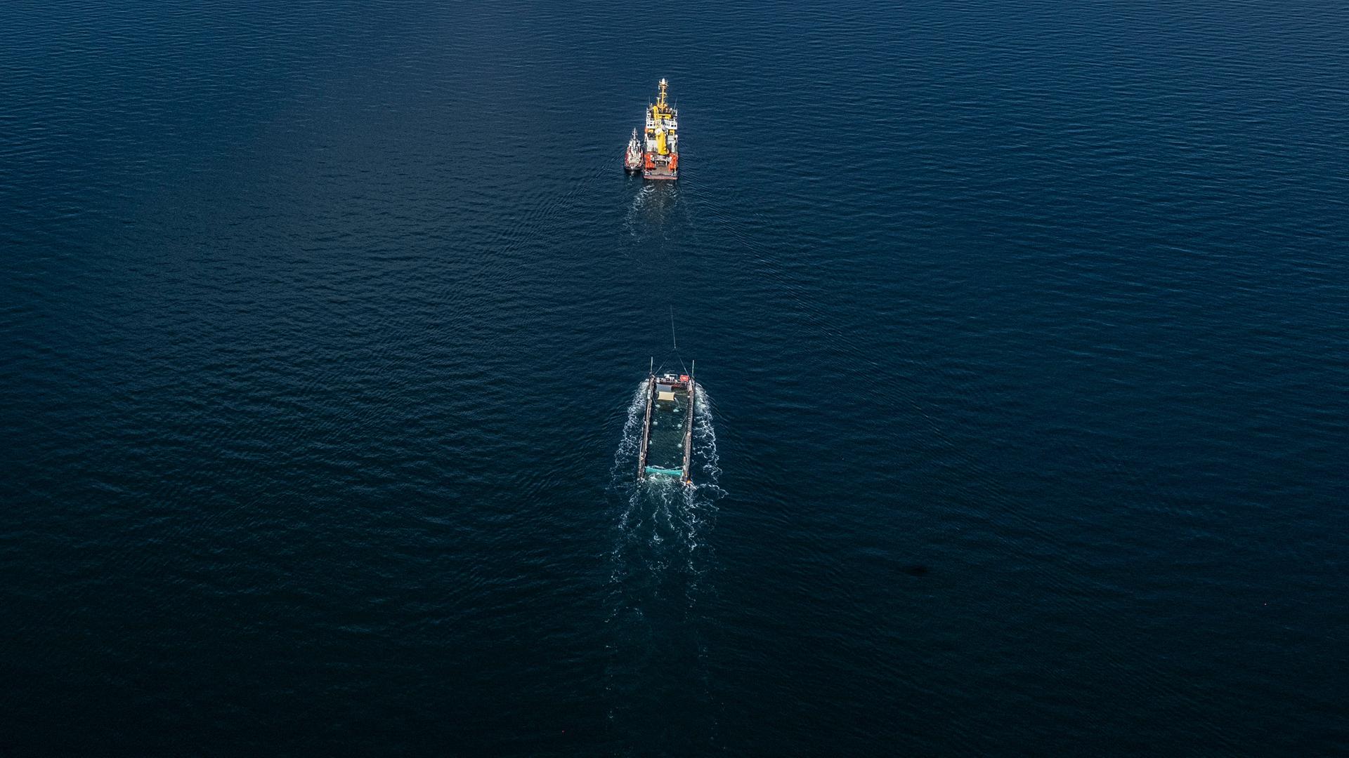 Ein Schiff zieht ein Schwimmdock mit einem Buckelwal vor der dÃ¤nischen OstseekÃ¼ste. | Per Rasmussen