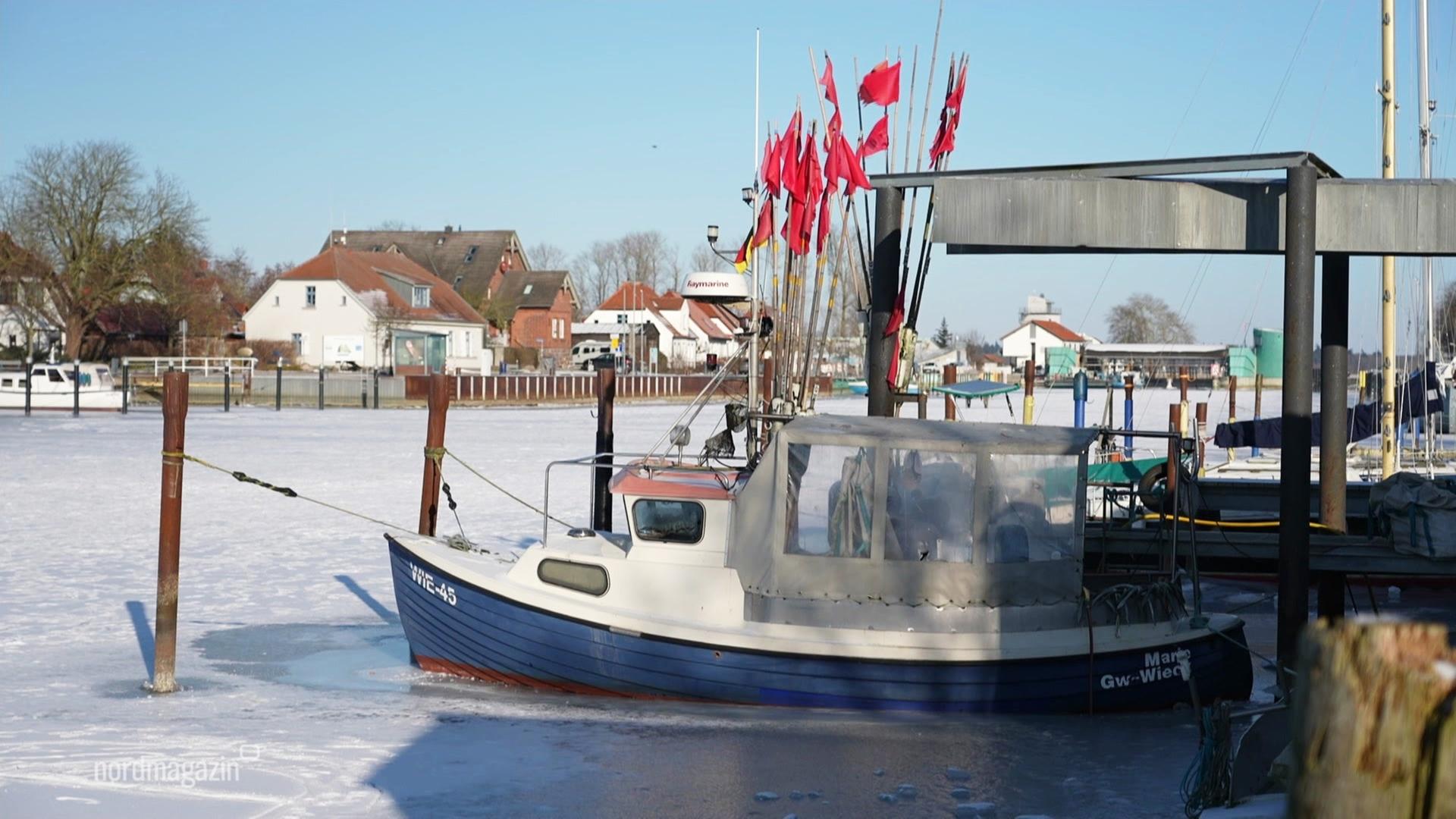 Boote liegen im vereisten Greifswalder Bodden | Screenshot