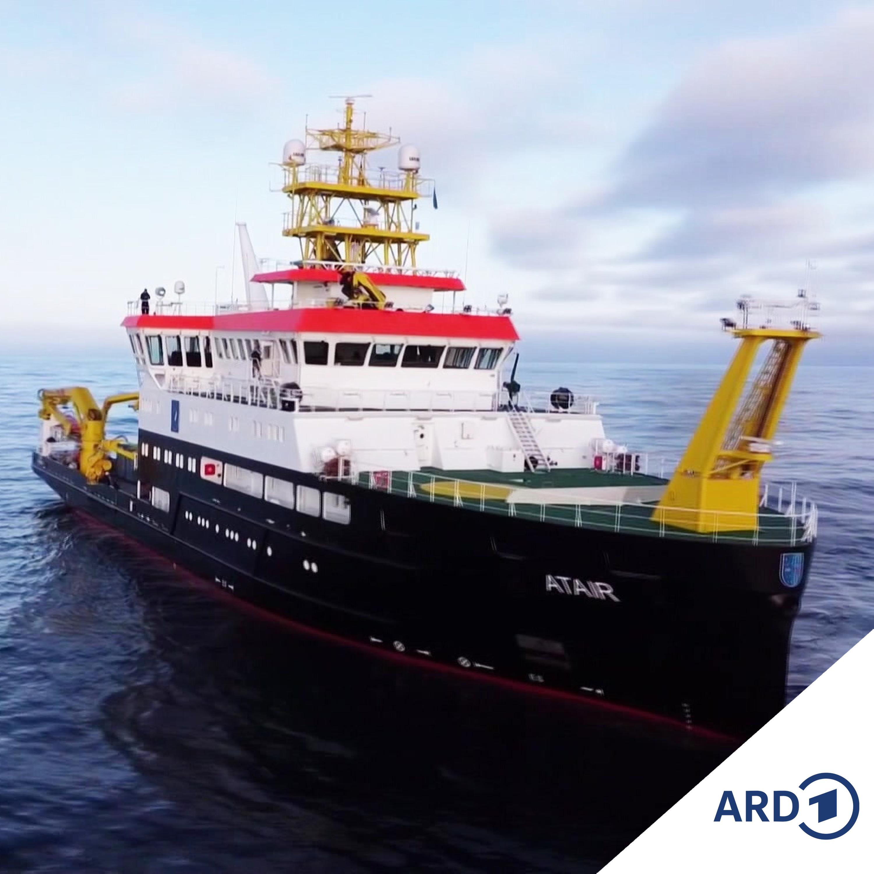 Das Hamburger Hafenkonzert