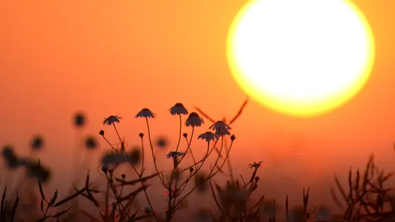 Die Sonne am orangen Himmel in Syke zur Sommersonnenwende.