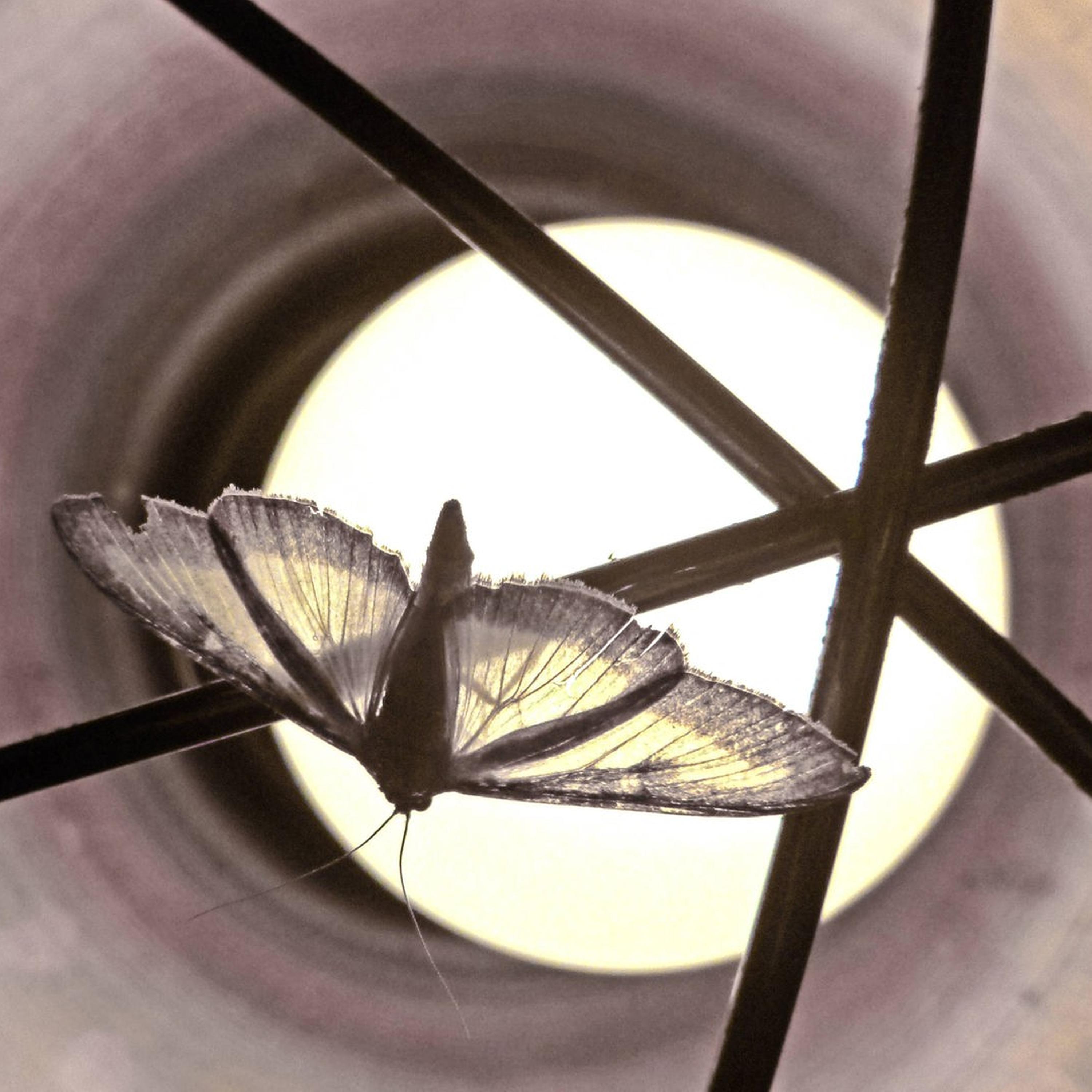 Synapsen – ein Wissenschaftspodcast