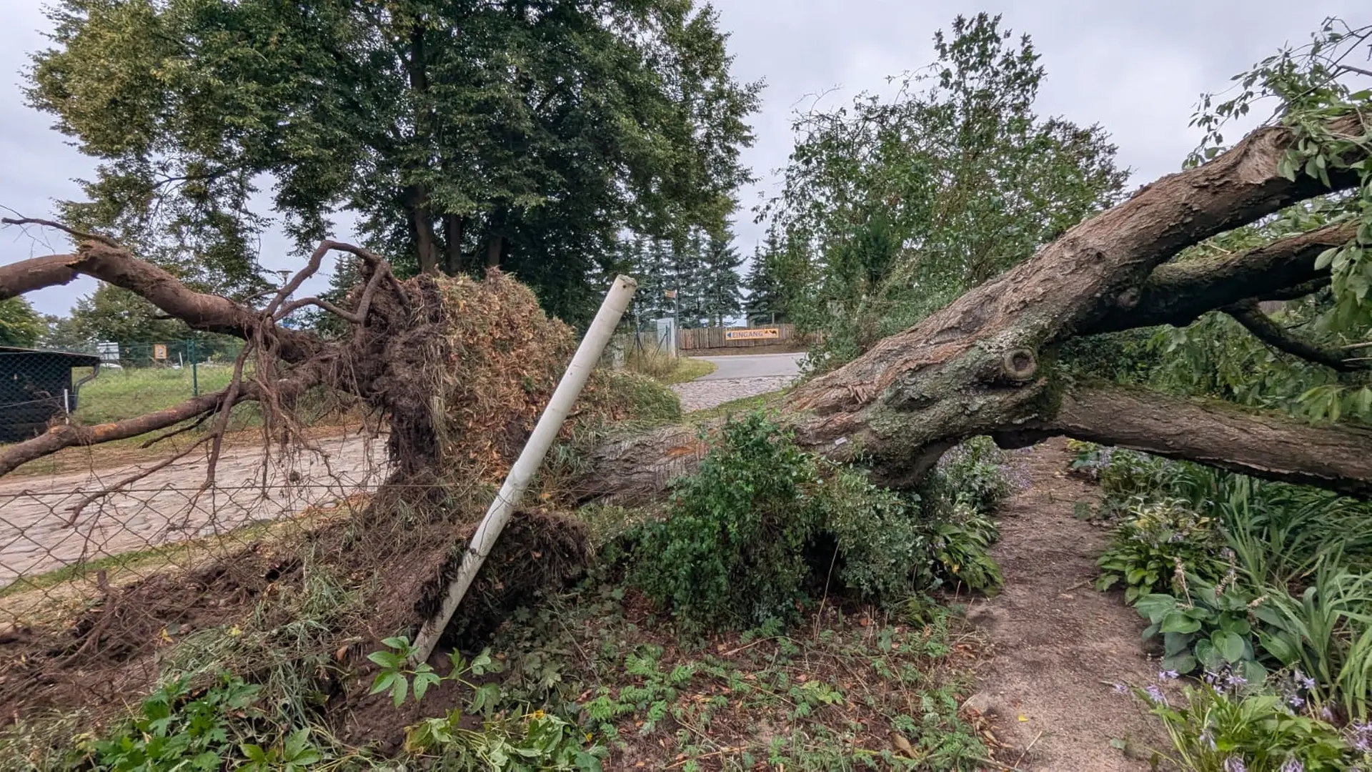 Unwetter sorgt für Schäden in der Müritz-Region