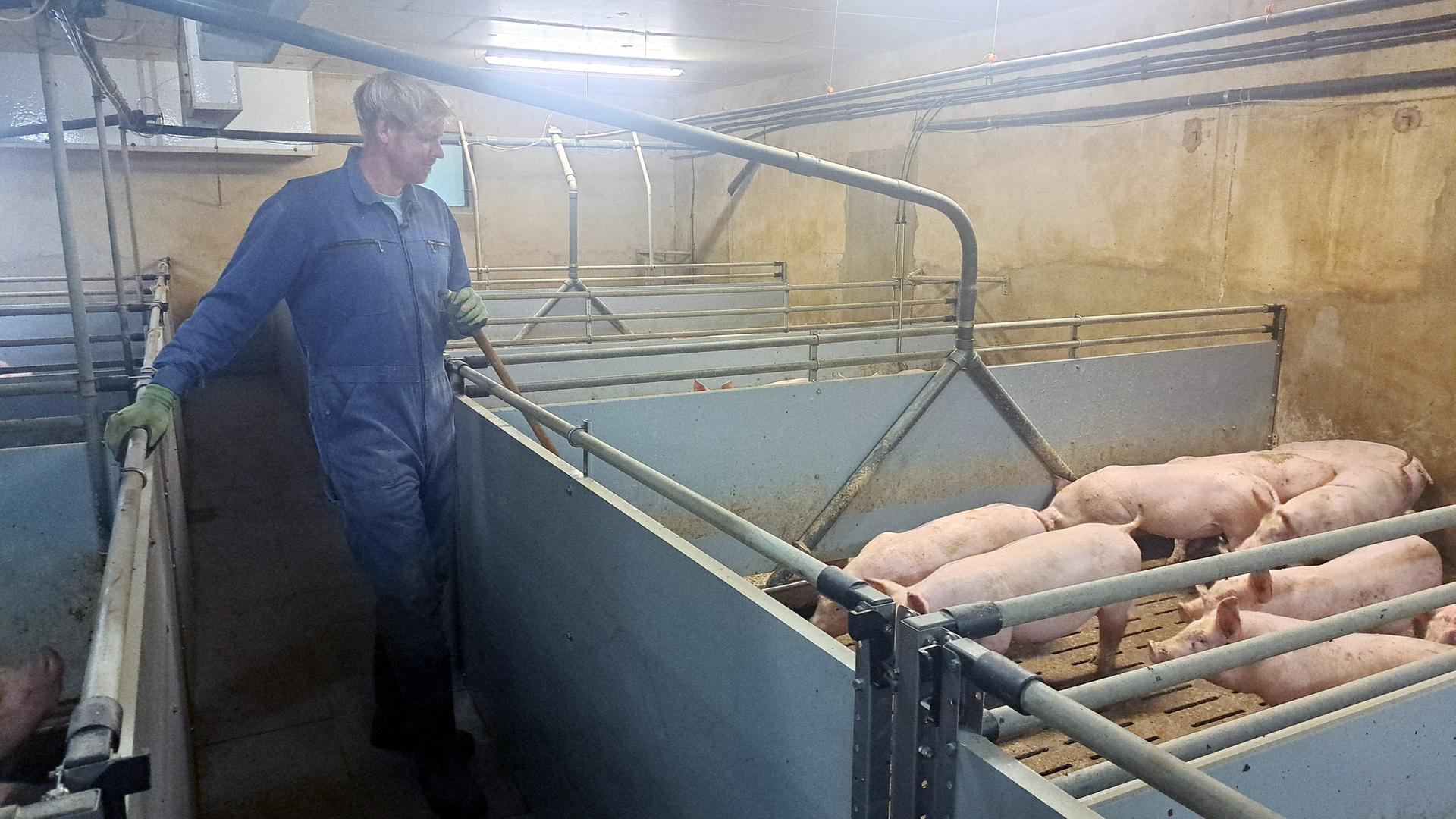 Landwirt Heiko Schwarting aus Hude steht in seinem Schweinestall. | NDR / Birgit Stamerjohanns
