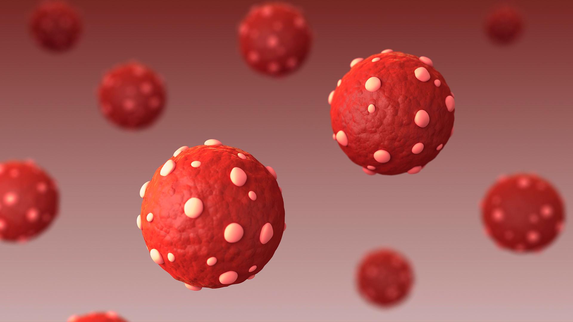 Eine medizinische Illustration zeigt das Hantavirus. | picture alliance / Zoonar | Stocktrek Images