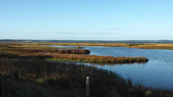 Früher Morgen an der Geltinger Noor, blau blitzende Wasserflächen an Salzwiesen und Schilfsümpfen.