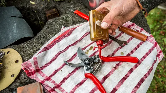 Die beweglichen Teile von Scheren sollten nach dem Schleifen geölt werden. | NDR, Udo Tanske Eine Gartenschere wird geölt.