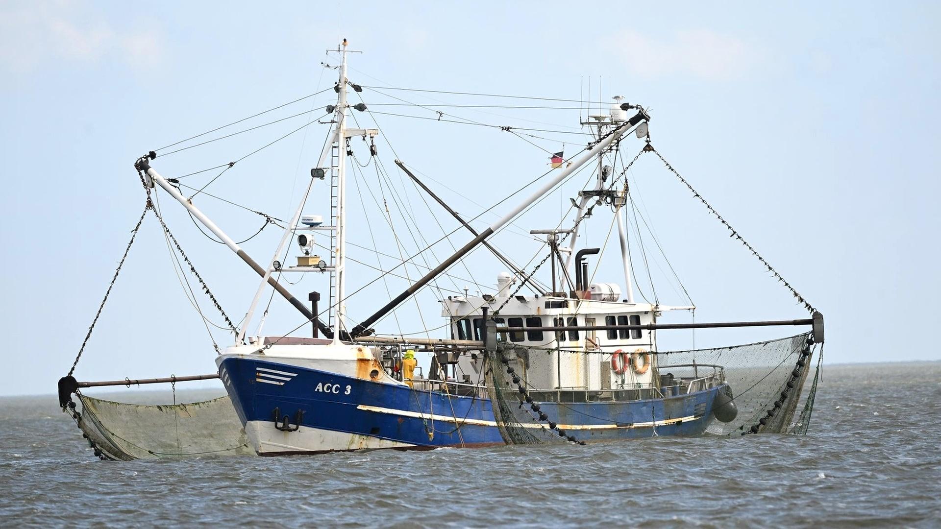 Ein Fischkutter auf dem Wasser | Lars Penning/dpa