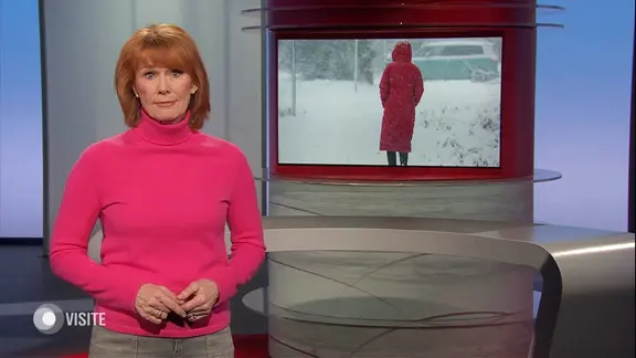 Vera Cordes moderiert Visite.