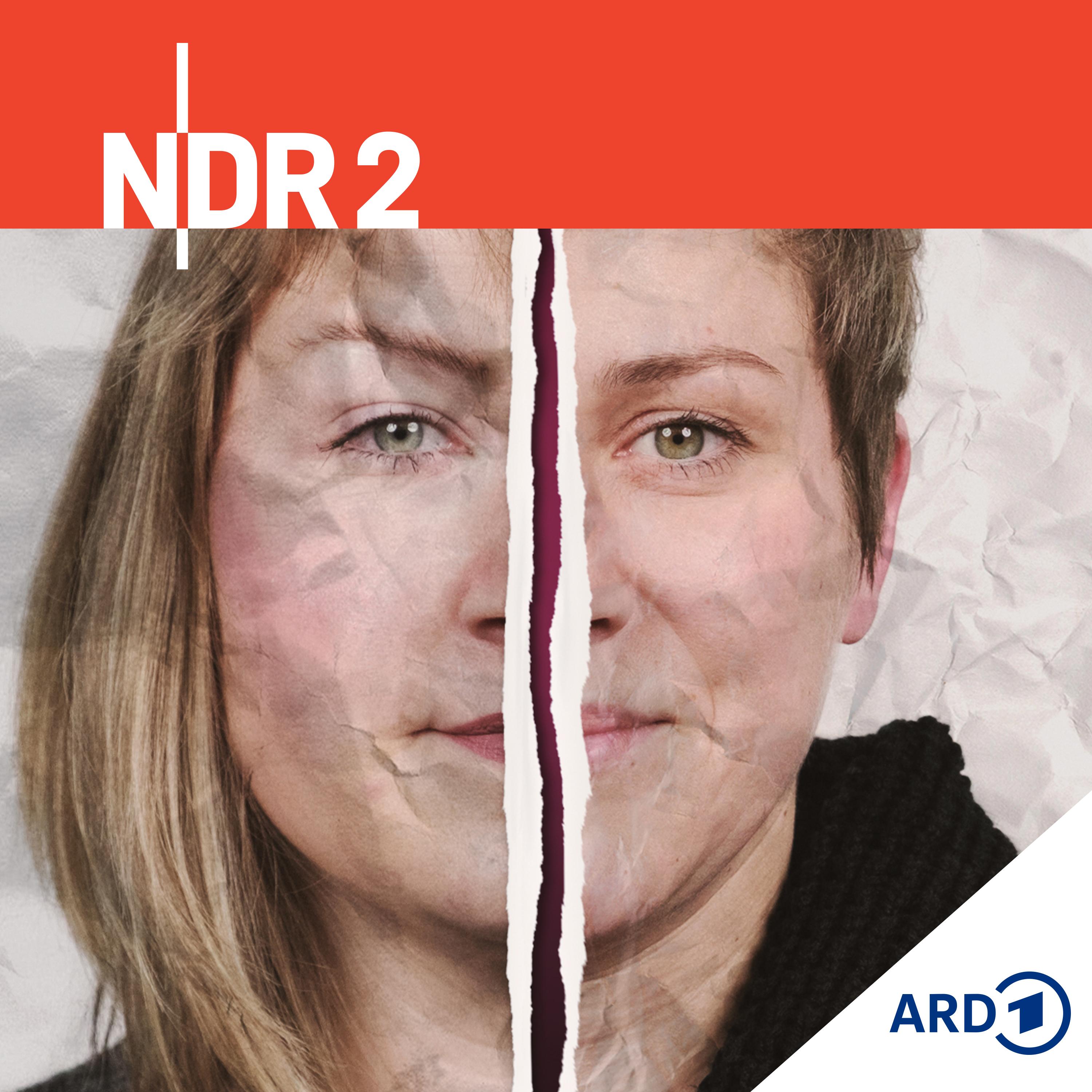 Von 0 auf 100: Wenn Kleinigkeiten zu großen Konflikten werden episode artwork