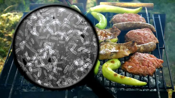 Salmonellen: Bakterien werden mit Lupe auf einem mit Fleisch und Pepperoni belegten Grill gesucht.