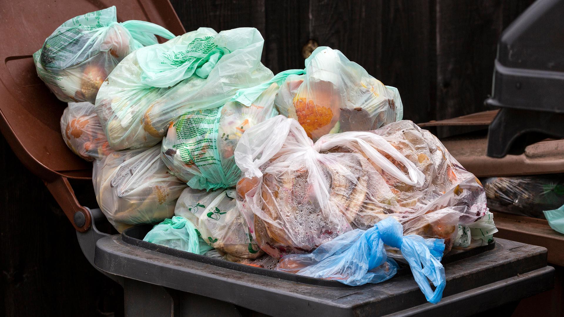 Plastiktüten in Biomüll-Tonnen sorgen in SH für Probleme