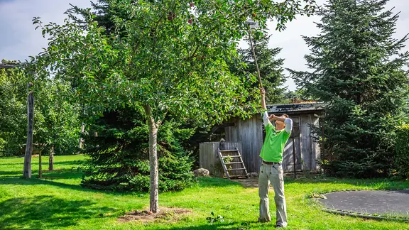Apfelreste und Trester im Garten verwenden | ndr.de