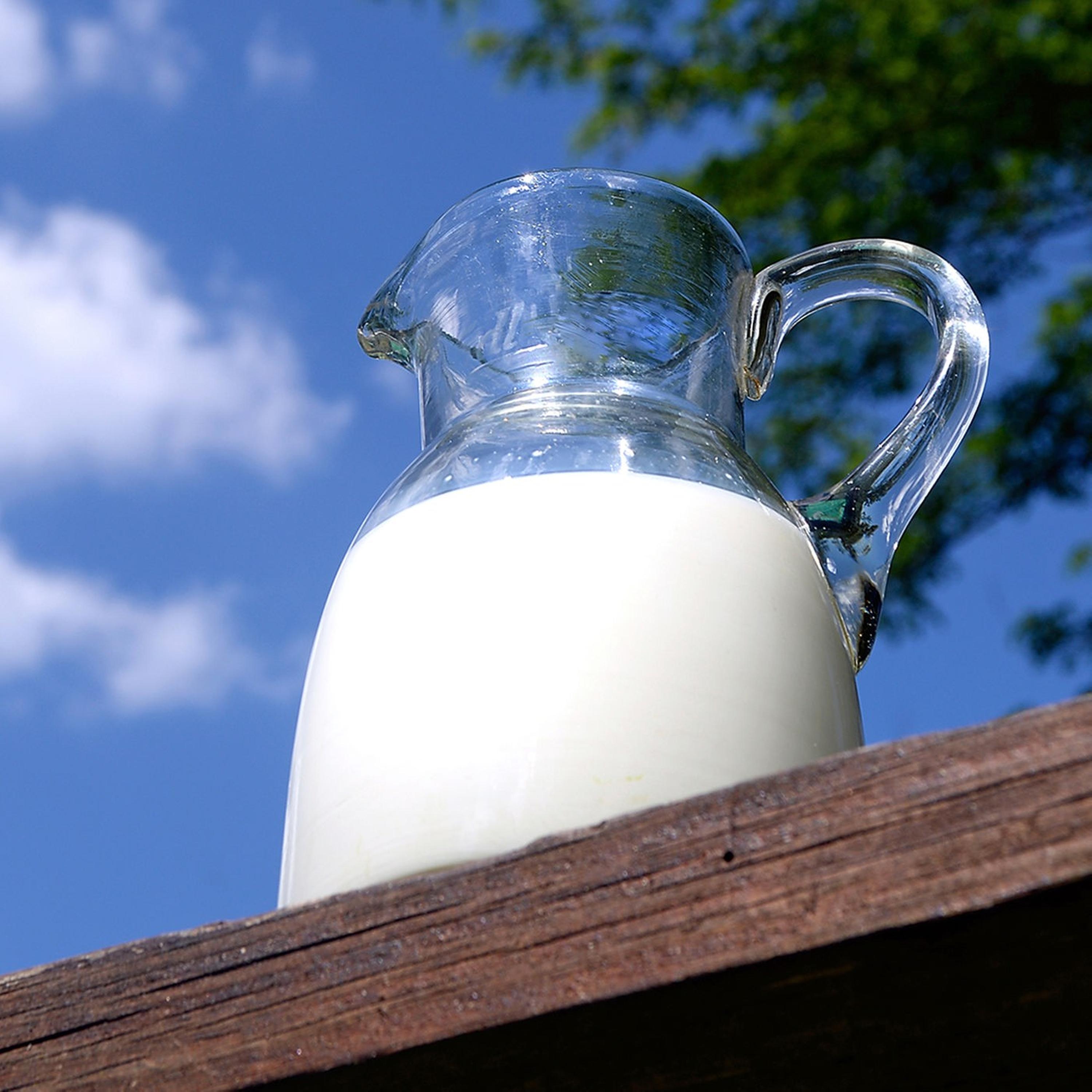 Synapsen – ein Wissenschaftspodcast