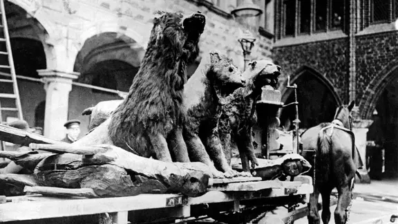 Die Reste von ausgestopften Löwen auf einer Kutsche in Lübeck im Jahr 1915.