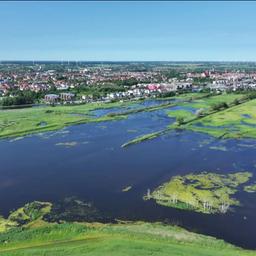 Blick aus der Luft auf ein größeres Moorgebiet mit einigen Wasserflächen vor Greifswald