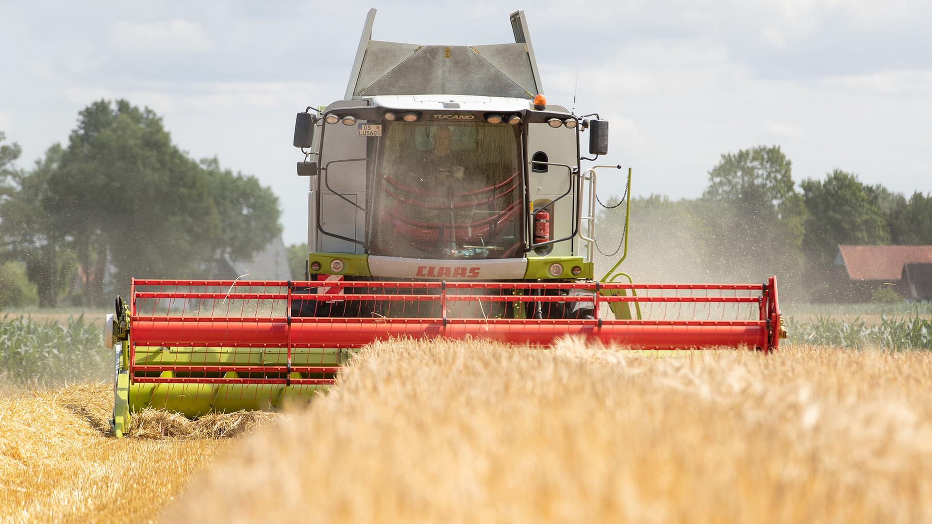 Ein Mähdrescher fährt über ein Feld mit Wintergerste. | picture alliance/dpa | Friso Gentsch