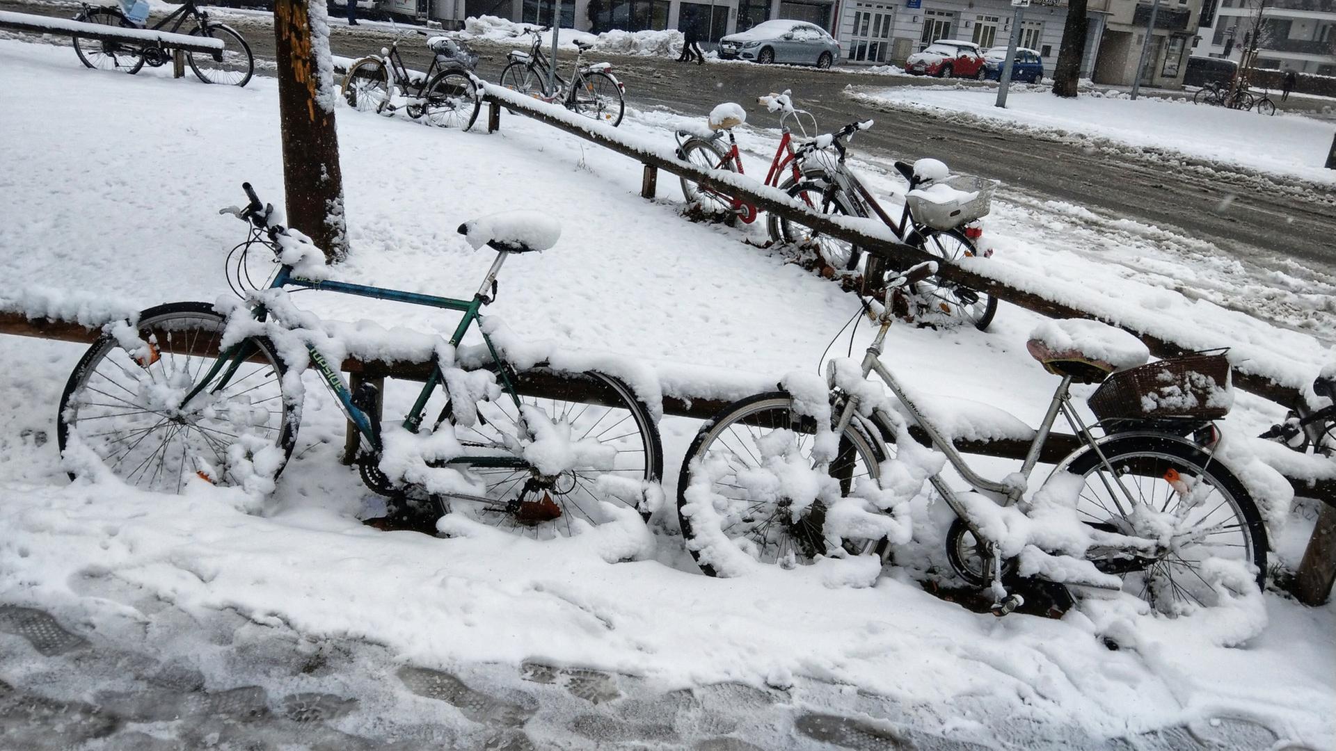 Heftiger Schneefall: Hamburgs Schulen bleiben am Freitag geschlossen