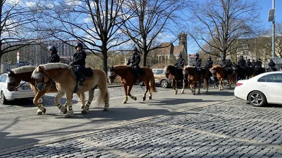 Berittene Polizei am 96-Stadion | NDR / Maximilian Altstadt Berittene Polizei am 96-Stadion