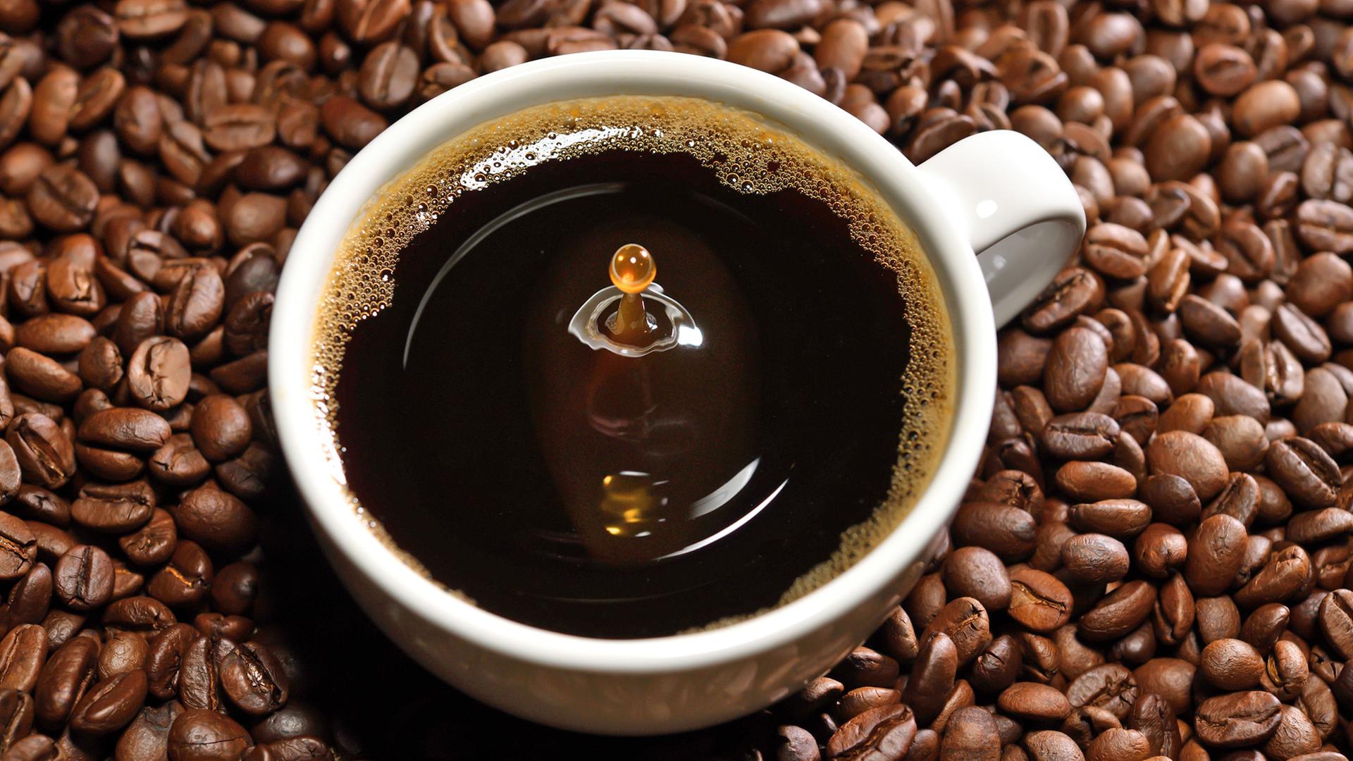 Eine Tasse Kaffee vor Kaffeebohnen | Colourbox