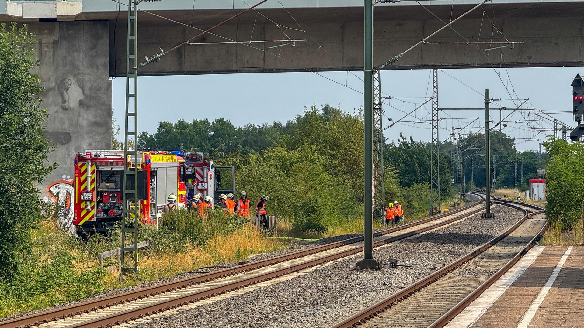 Die Feuerwehr müsste wegen eines Böschungsbrandes in Maschen ausrücken. | Tobias Johanning