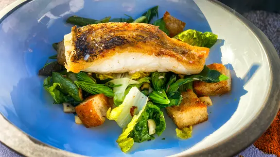 Gebratener Zander mit Spargel-Brot-Salat auf einem Teller angerichtet. | NDR Gebratener Zander mit Spargel-Brot-Salat auf einem Teller angerichtet.