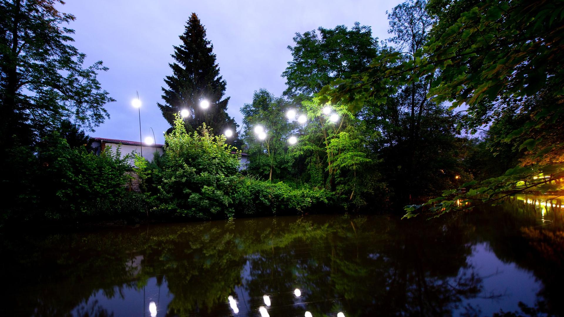 Die Oker in Braunschweig bei Nacht | Hauke-Christian Dittrich/dpa