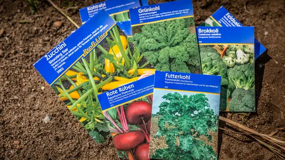 Verschiedene Gemüse-Saatguttütchen | NDR, Udo Tanske Verschiedene Gemüse-Saatguttütchen