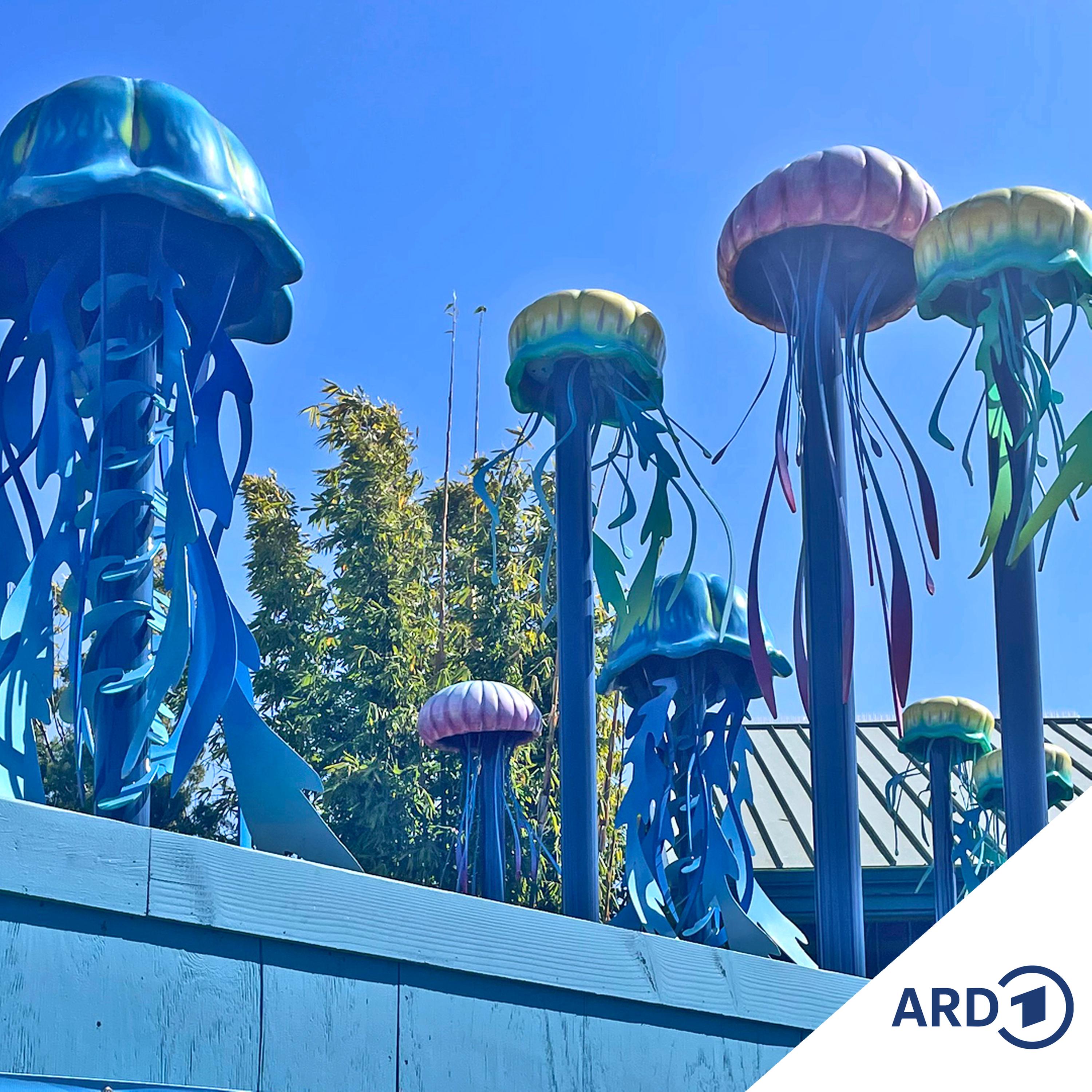 Zwischen Hamburg und Haiti