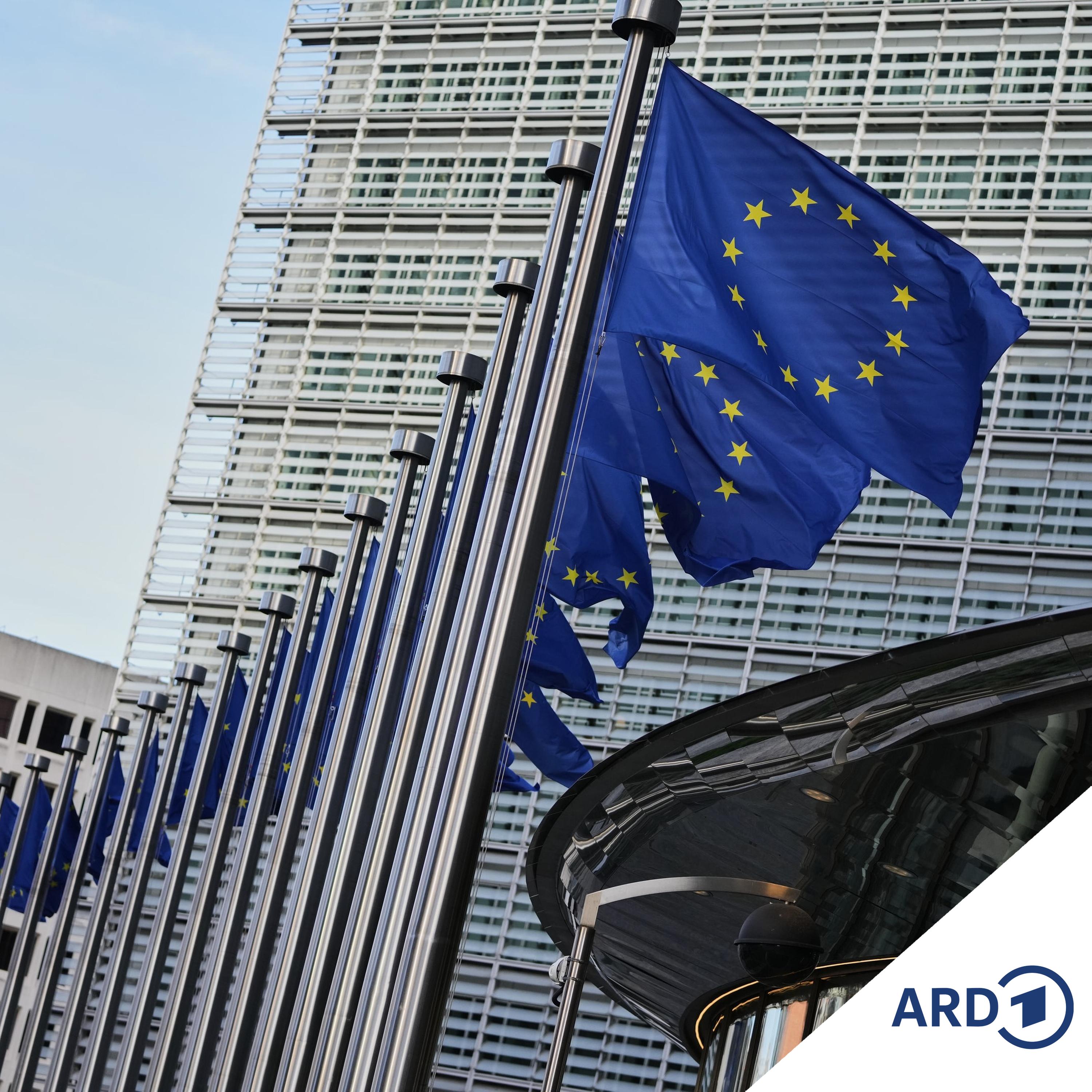 Mercosur-Abkommen - ein EU-Erfolg?