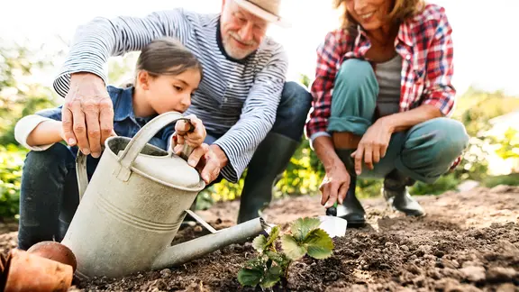 Ein Mädchen, eine jüngere Frau und ein älterer Mann hocken vor einem Beet und gießen eine junge Pflanze.