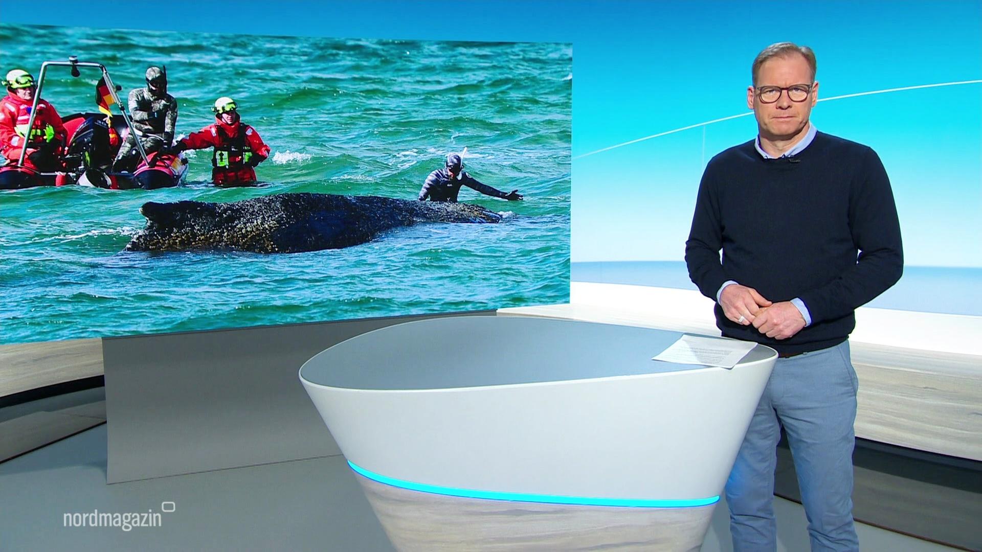 Nordmagazin - Land und Leute | 26.03.2026