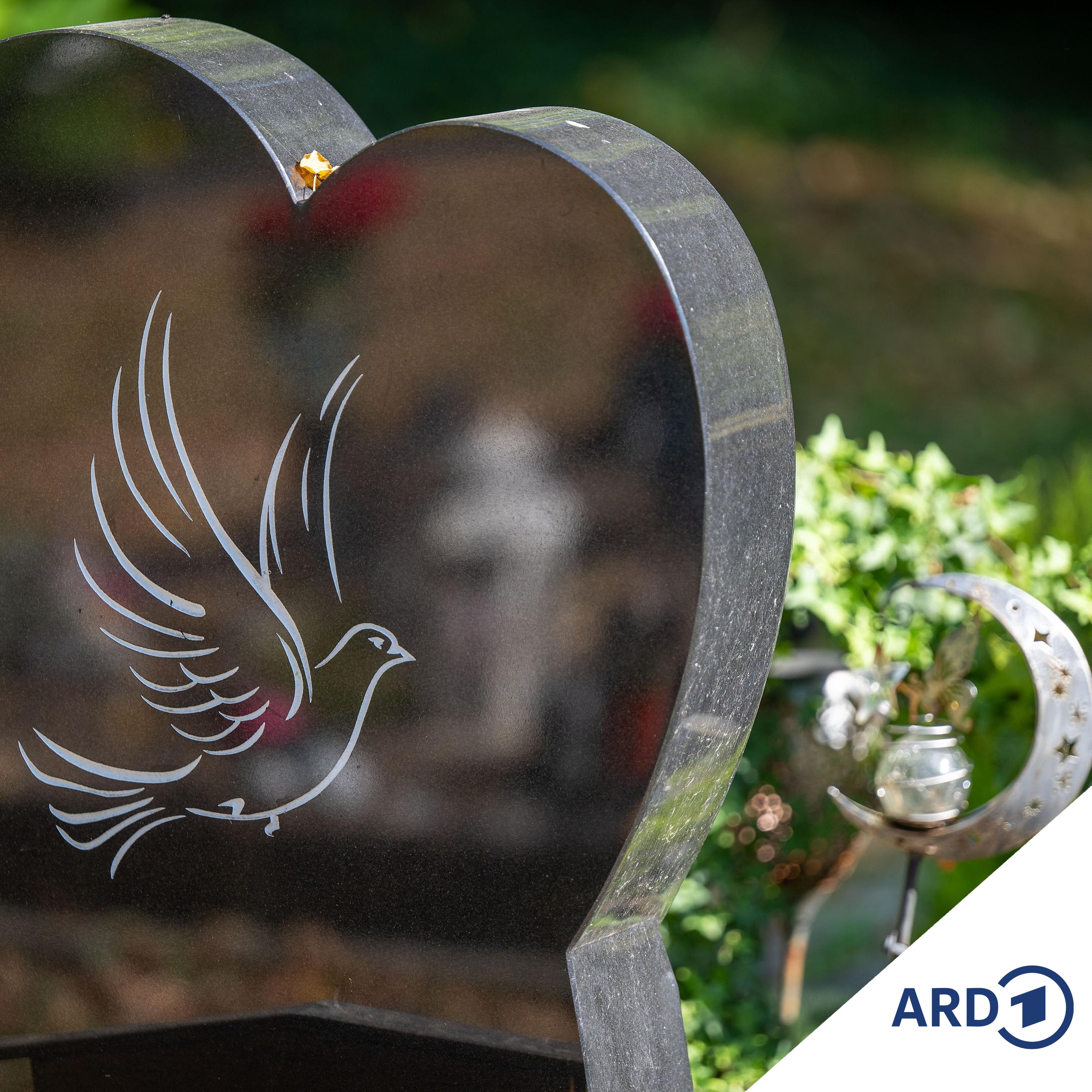 Deutschlands erster muslimischer Friedhof episode artwork