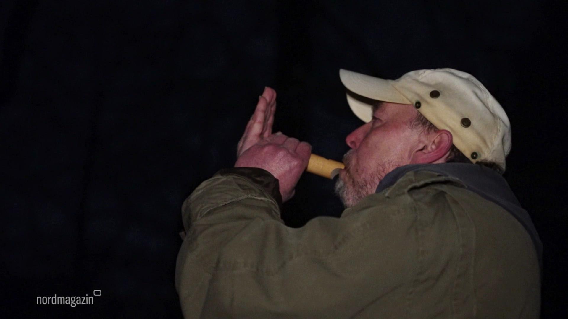 Nossentiner/Schwinzer Heide: Dem Waldkauz auf der Spur