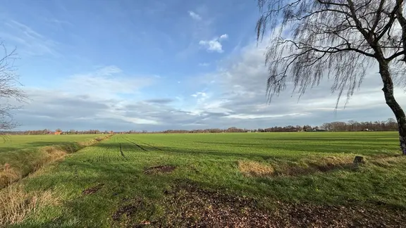 Der Schatz aus dem Moor: Wo Jenaer Forscher Wirkstoffe für neue Medizin entdecken