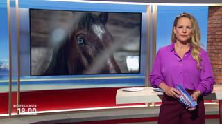 Tina Hermes moderiert Niedersachsen 18:00 Uhr.