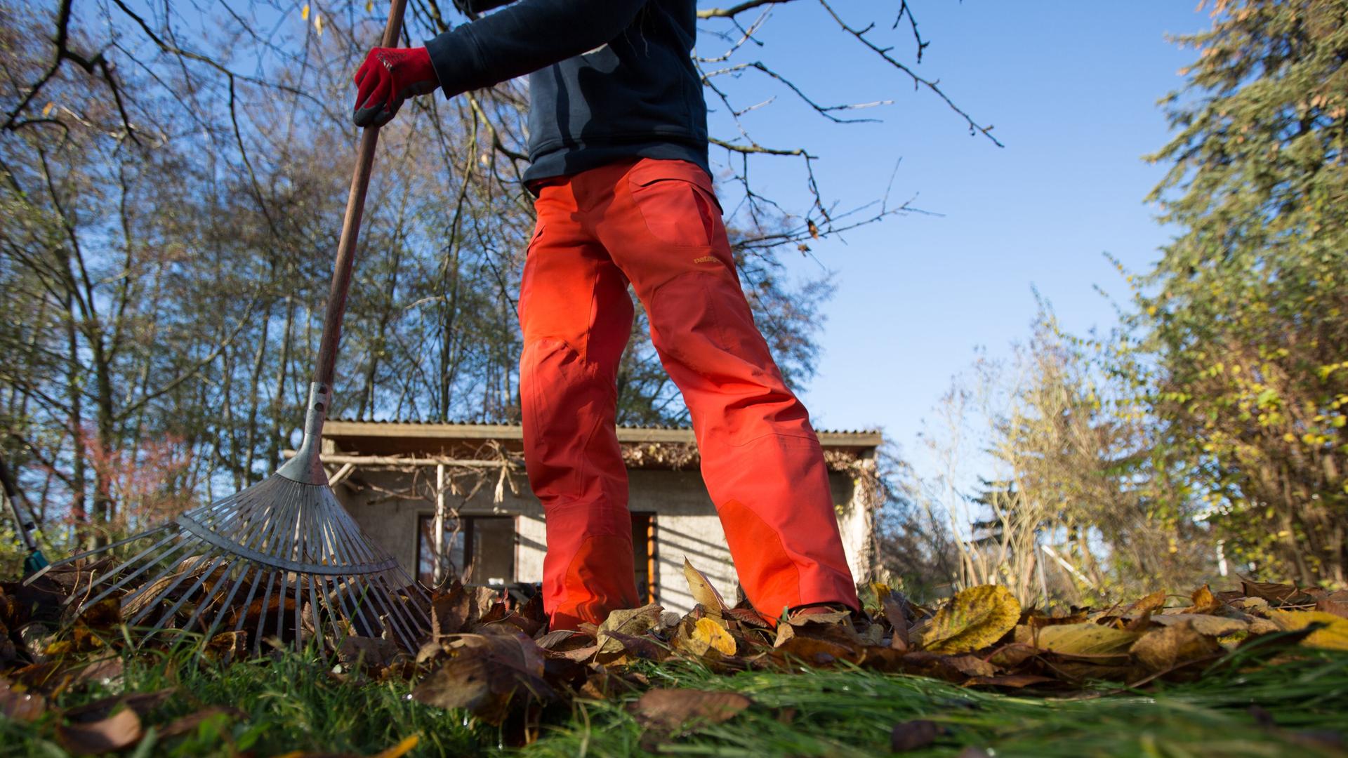 Ein Mann harkt ein Gartengrundstück in Berlin. | picture alliance / dpa Themendienst | Florian Schuh