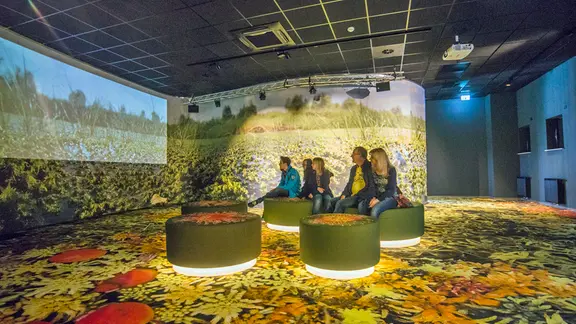 Besucher sitzen in den Moorwelten bei Diepholz auf Hockern und schauen ich eine Multimedia-Show an.