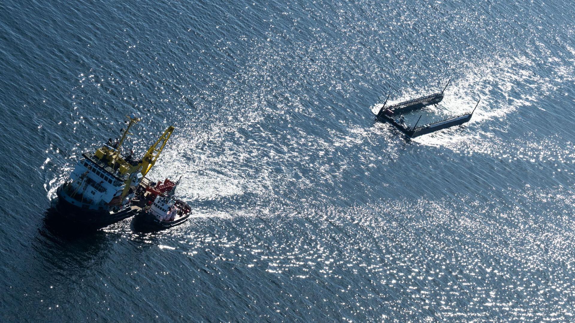 Liveticker: Buckelwal hat Fehmarn passiert – das ist der Plan