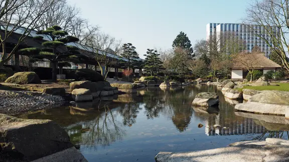 Planten un Blomen: Wasserspiele, Konzerte und viel Grn | ndr.de